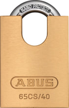 Naložite sliko v pregledovalnik galerije, 65CS/40 obešanka
