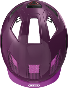 Hyban 2.0 core purple